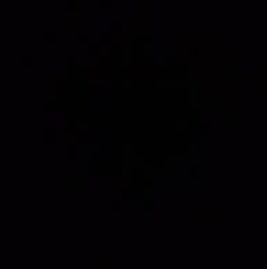 Meet your Posher, Carter